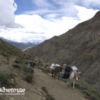 Dolpo to Mugu