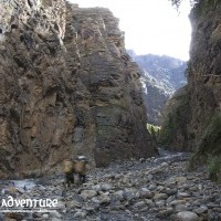 Dolpo Trek