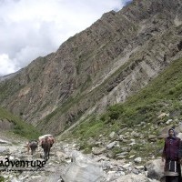 Dolpo Trek