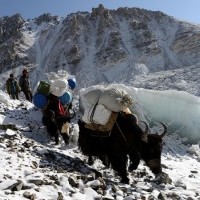 Everest Advanced Base Camp Trek