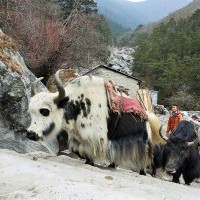 Everest Base Camp Trek - 16 Days