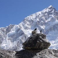 Everest Base Camp Trek - 16 Days