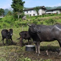Everest Base Camp Trek - 18 Days