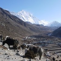 Everest Base Camp Trek - 18 Days