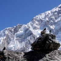 Everest Base Camp Trek - 18 Days