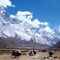 Everest Base Camp Trek - 18 Days