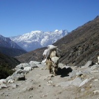 Jiri to Everest Base Camp