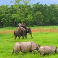 Elephant Safari at Chitwan National Park