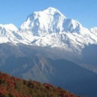 Kathmandu Pokhara Chitwan Tour