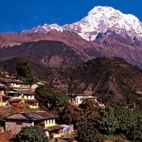 Kathmandu Pokhara Chitwan Tour