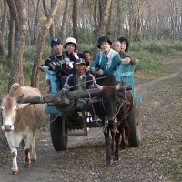 Kathmandu Pokhara Chitwan Tour