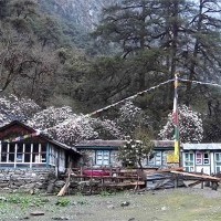 Langtang Trek & Tserko Ri