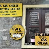 Organic Yak Cheese Production Center - Langtang