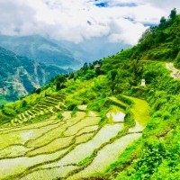 Machhapuchhre Base Camp Trek