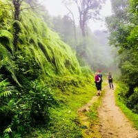 Machhapuchhre Base Camp Trek