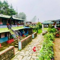 Machhapuchhre Base Camp Trek