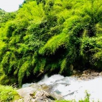 Machhapuchhre Base Camp Trek