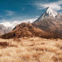 Mardi Himal Trek 