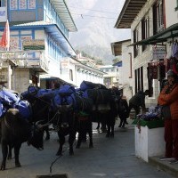 Namaste Lodge and Resort at Tenzin Hillary Airport