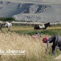 Mustang Saribung Trek