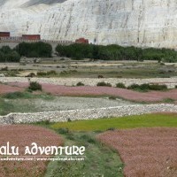 Mustang Saribung Trek