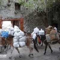 Upper Mustang Trekking