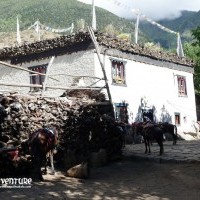 Upper Mustang Trekking