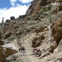 Upper Mustang Trekking