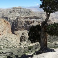 Upper Mustang Trekking