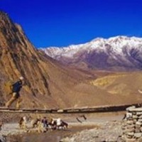 Nar to Mustang Trek