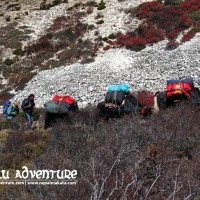 Sherpani Col Trek