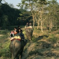 Jungle Safari with Elephant at Chitwan National Park