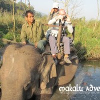 Jungle Safari at Chitwan National Park